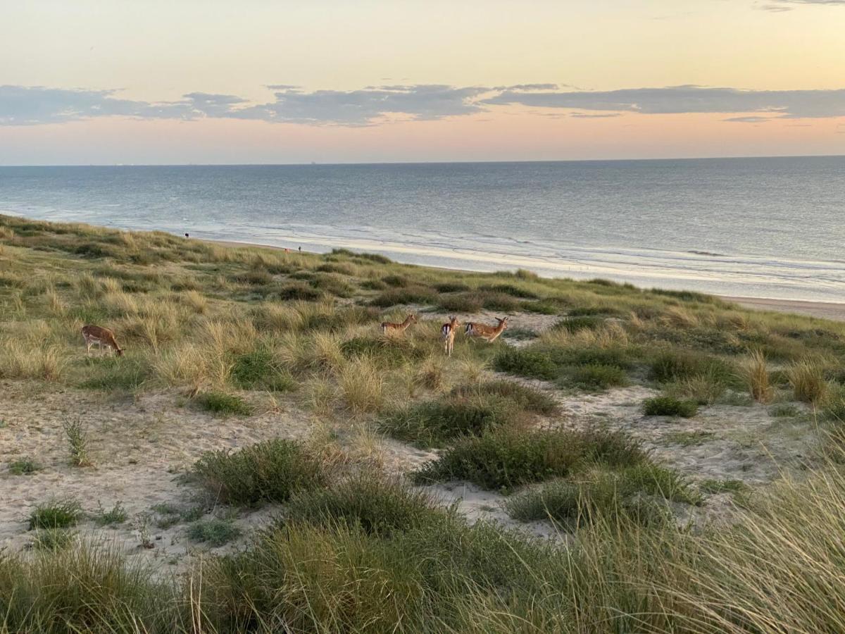 Zwarte Vis Apartment Zandvoort Luaran gambar