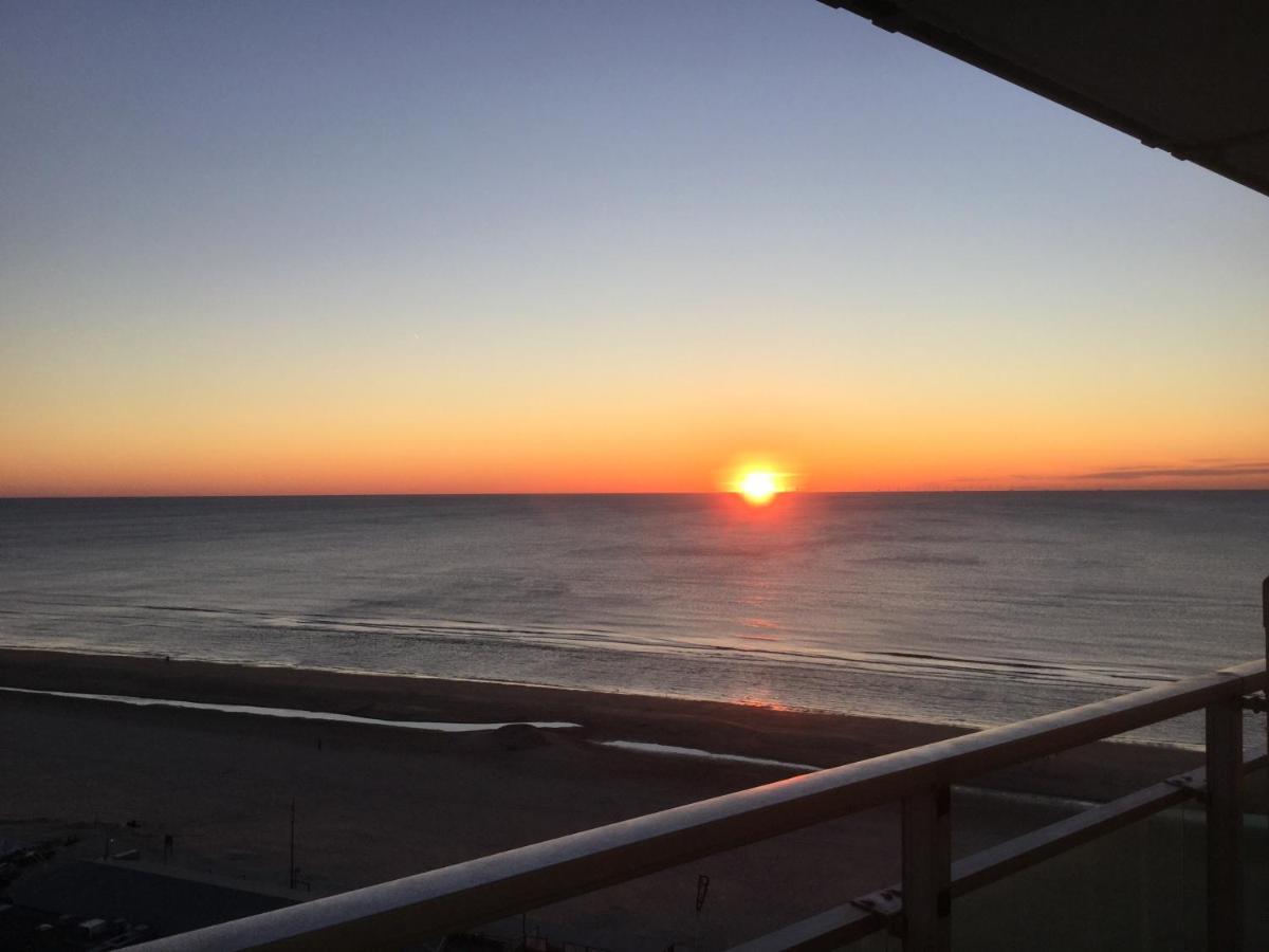 Zwarte Vis Apartment Zandvoort Luaran gambar